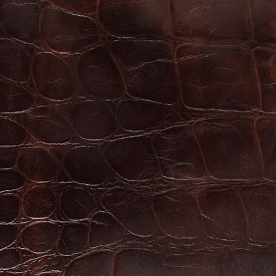 拉美鱷魚皮革制品 應(yīng)用與廣州高科進出口貿(mào)易概覽